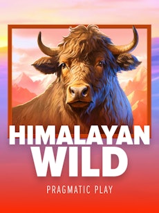 Himalayan Wild